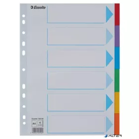   Regiszter, karton, A4, 6 részes, írható előlappal, ESSELTE "Standard", színes