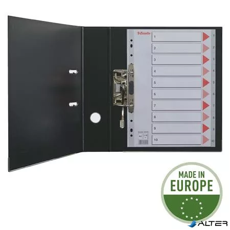 Regiszter, karton, A4, 6 részes, írható előlappal, ESSELTE "Standard", színes