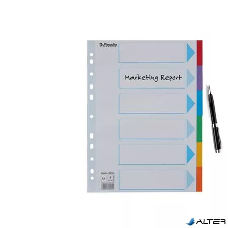 Regiszter, karton, A4, 6 részes, írható előlappal, ESSELTE "Standard", színes