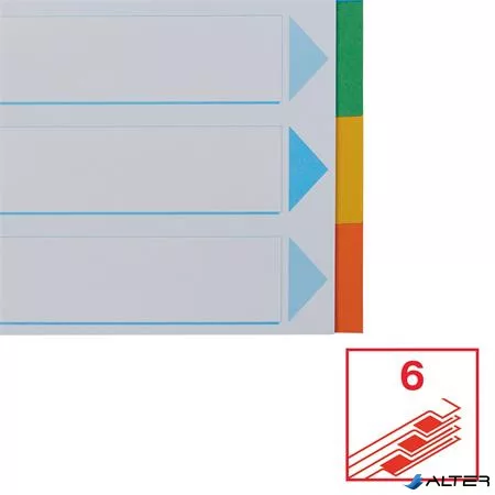 Regiszter, karton, A4, 6 részes, írható előlappal, ESSELTE "Standard", színes