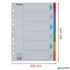 Regiszter, karton, A4, 6 részes, írható előlappal, ESSELTE "Standard", színes