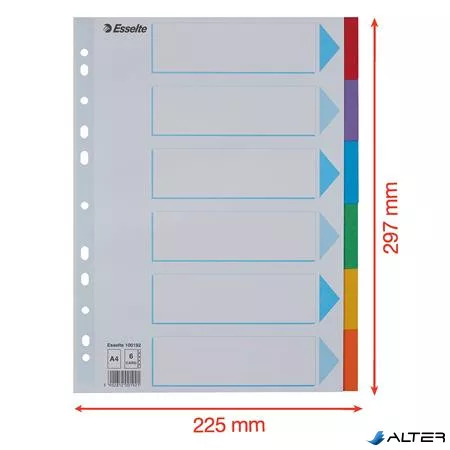 Regiszter, karton, A4, 6 részes, írható előlappal, ESSELTE "Standard", színes