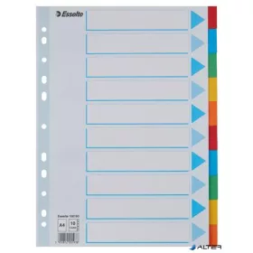   Regiszter, karton, A4, 10 részes, írható előlappal, ESSELTE "Standard", színes