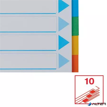Regiszter, karton, A4, 10 részes, írható előlappal, ESSELTE "Standard", színes