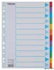 Regiszter, karton, A4, 12 részes, írható előlappal, ESSELTE "Standard", színes