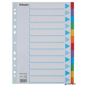   Regiszter, karton, A4, 12 részes, írható előlappal, ESSELTE "Standard", színes