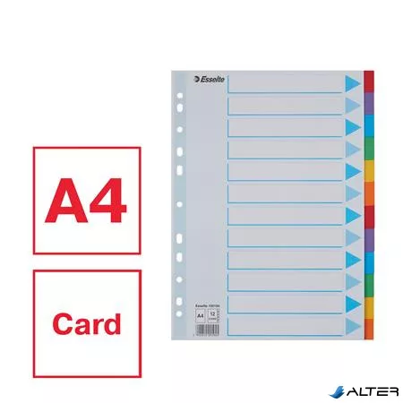 Regiszter, karton, A4, 12 részes, írható előlappal, ESSELTE "Standard", színes
