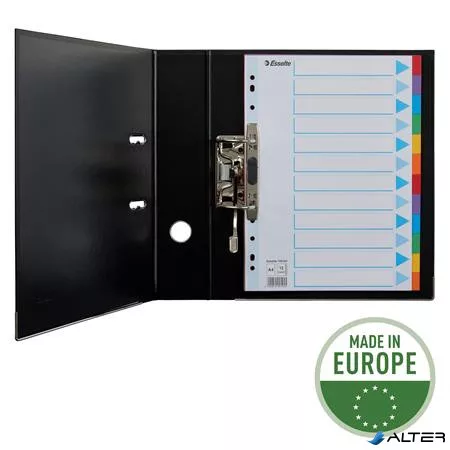 Regiszter, karton, A4, 12 részes, írható előlappal, ESSELTE "Standard", színes