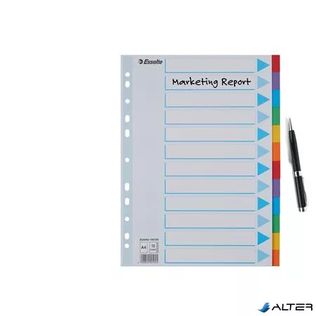 Regiszter, karton, A4, 12 részes, írható előlappal, ESSELTE "Standard", színes