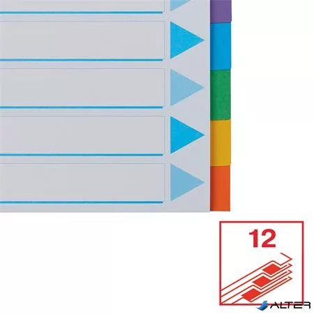 Regiszter, karton, A4, 12 részes, írható előlappal, ESSELTE "Standard", színes