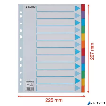 Regiszter, karton, A4, 12 részes, írható előlappal, ESSELTE "Standard", színes
