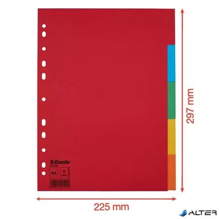 Regiszter, karton, A4, 5 részes, ESSELTE "Economy", színes