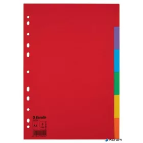   Regiszter, karton, A4, 6 részes, ESSELTE "Economy", színes