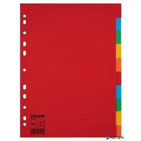   Regiszter, karton, A4, 10 részes, ESSELTE "Economy", színes