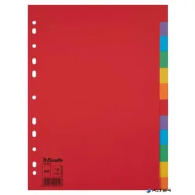   Regiszter, karton, A4, 12 részes, ESSELTE "Economy", színes