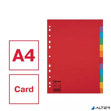 Regiszter, karton, A4, 12 részes, ESSELTE "Economy", színes