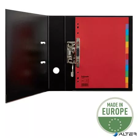 Regiszter, karton, A4, 12 részes, ESSELTE "Economy", színes