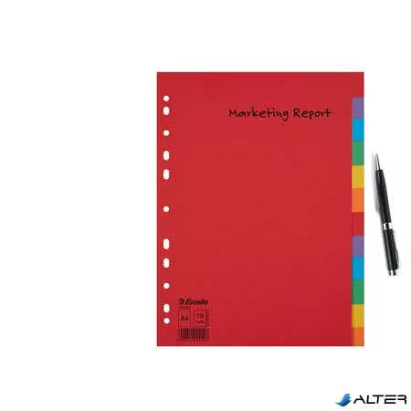 Regiszter, karton, A4, 12 részes, ESSELTE "Economy", színes