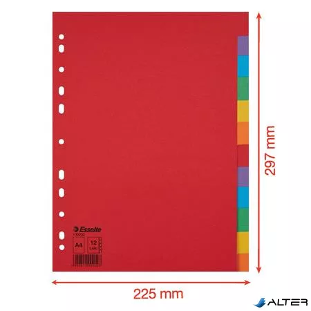 Regiszter, karton, A4, 12 részes, ESSELTE "Economy", színes
