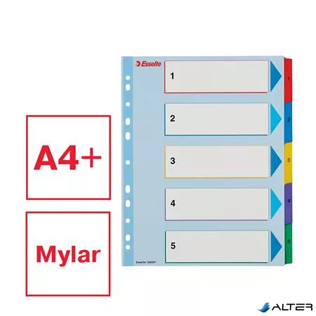 Regiszter, laminált karton, A4 maxi, 1-5, újraírható, ESSELTE