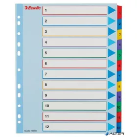   Regiszter, laminált karton, A4 Maxi, 1-12, újraírható, ESSELTE