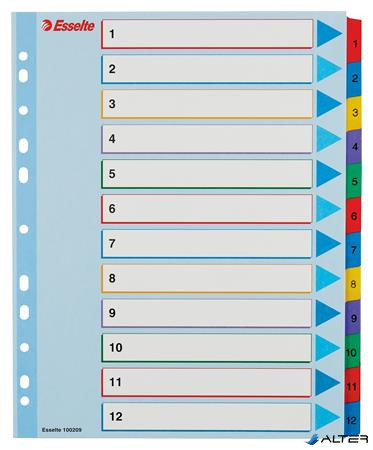 Regiszter, laminált karton, A4 Maxi, 1-12, újraírható, ESSELTE