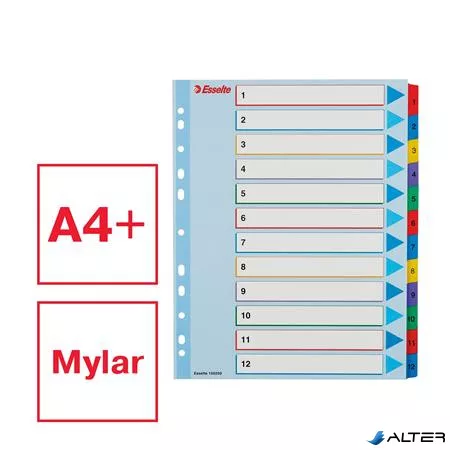 Regiszter, laminált karton, A4 Maxi, 1-12, újraírható, ESSELTE