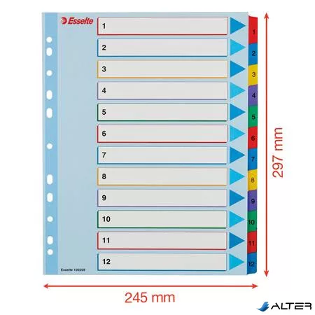 Regiszter, laminált karton, A4 Maxi, 1-12, újraírható, ESSELTE