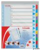 Regiszter, laminált karton, A4 Maxi, 1-12, újraírható, ESSELTE