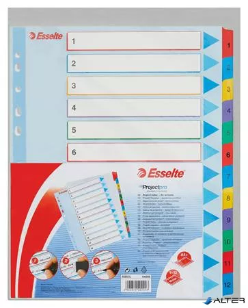 Regiszter, laminált karton, A4 Maxi, 1-12, újraírható, ESSELTE