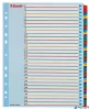 Regiszter, laminált karton, A4 Maxi, 1-31, újraírható, ESSELTE