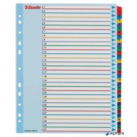   Regiszter, laminált karton, A4 Maxi, 1-31, újraírható, ESSELTE
