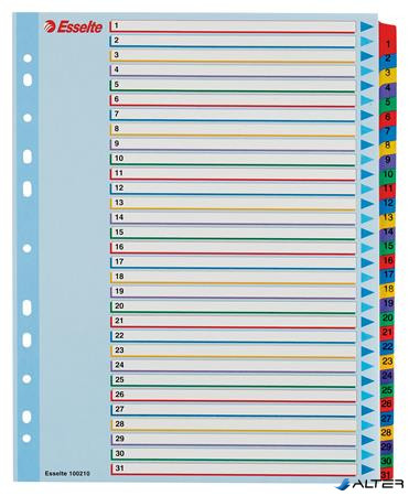 Regiszter, laminált karton, A4 Maxi, 1-31, újraírható, ESSELTE