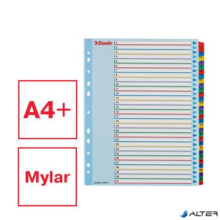 Regiszter, laminált karton, A4 Maxi, 1-31, újraírható, ESSELTE