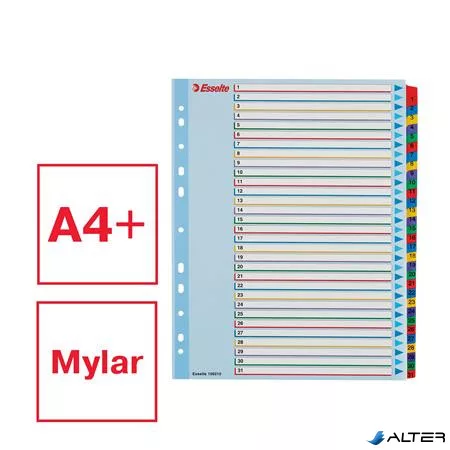 Regiszter, laminált karton, A4 Maxi, 1-31, újraírható, ESSELTE