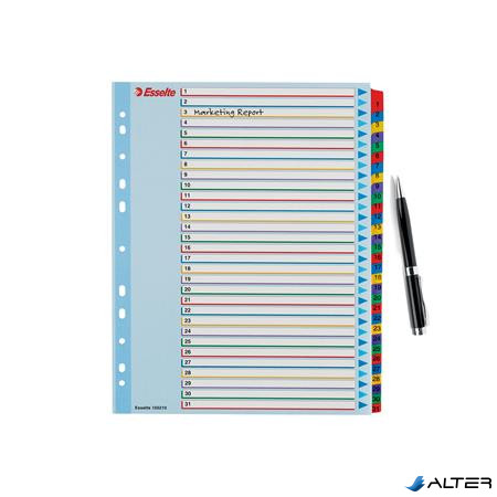 Regiszter, laminált karton, A4 Maxi, 1-31, újraírható, ESSELTE