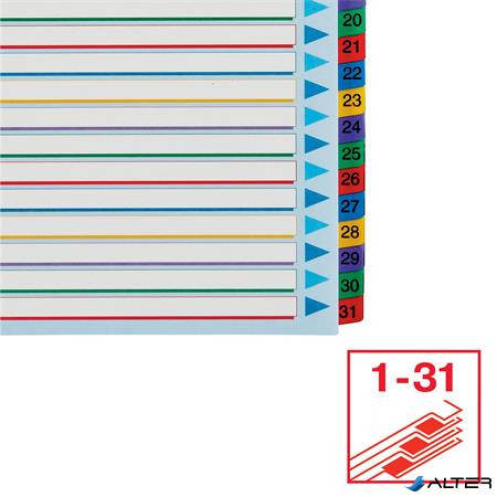 Regiszter, laminált karton, A4 Maxi, 1-31, újraírható, ESSELTE