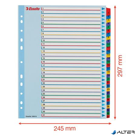 Regiszter, laminált karton, A4 Maxi, 1-31, újraírható, ESSELTE