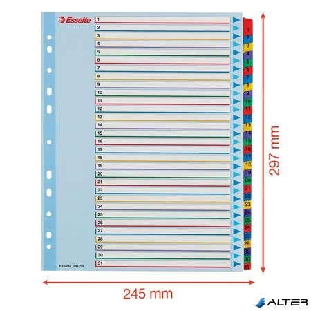 Regiszter, laminált karton, A4 Maxi, 1-31, újraírható, ESSELTE