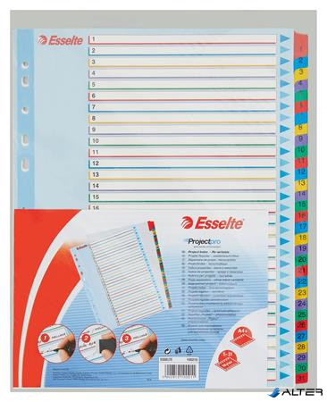 Regiszter, laminált karton, A4 Maxi, 1-31, újraírható, ESSELTE