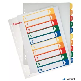   Regiszter, műanyag, A4 Maxi, 1-10, nyomtatható, ESSELTE, áttetsző