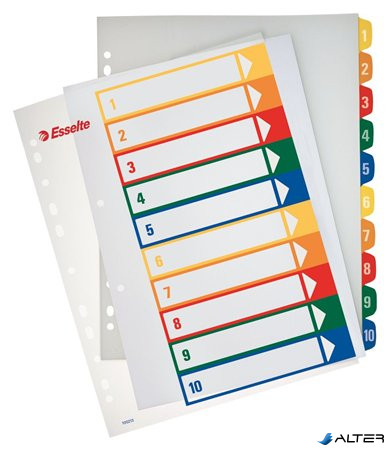 Regiszter, műanyag, A4 Maxi, 1-10, nyomtatható, ESSELTE, áttetsző