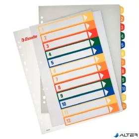   Regiszter, műanyag, A4 Maxi, 1-12, nyomtatható, ESSELTE, áttetsző