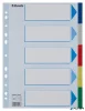 Regiszter, műanyag, A4, 5 részes, ESSELTE