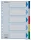 Regiszter, műanyag, A4, 5 részes, ESSELTE