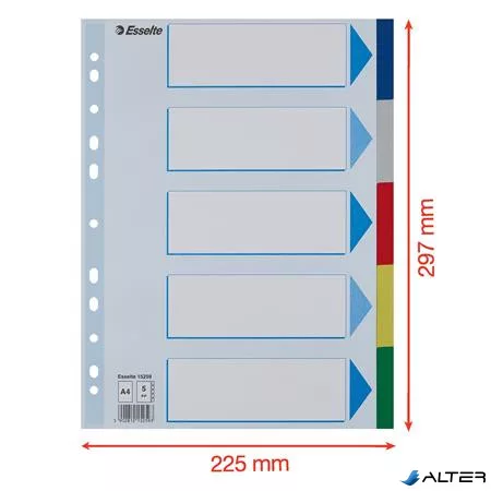 Regiszter, műanyag, A4, 5 részes, ESSELTE
