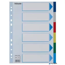 Regiszter, műanyag, A4, 6 részes, ESSELTE