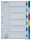 Regiszter, műanyag, A4, 6 részes, ESSELTE