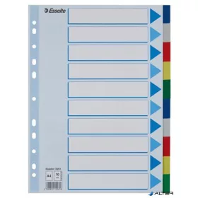 Regiszter, műanyag, A4, 10 részes, ESSELTE