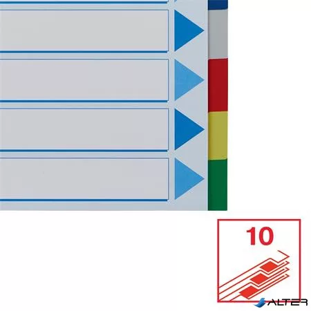 Regiszter, műanyag, A4, 10 részes, ESSELTE